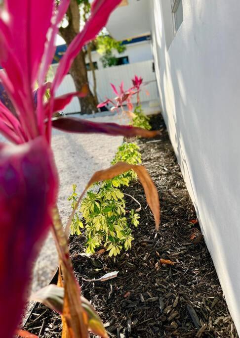 Lush Tropical Big Close To Airport, Calle 8, Coral Gables And Lots Amenities Casa de férias *